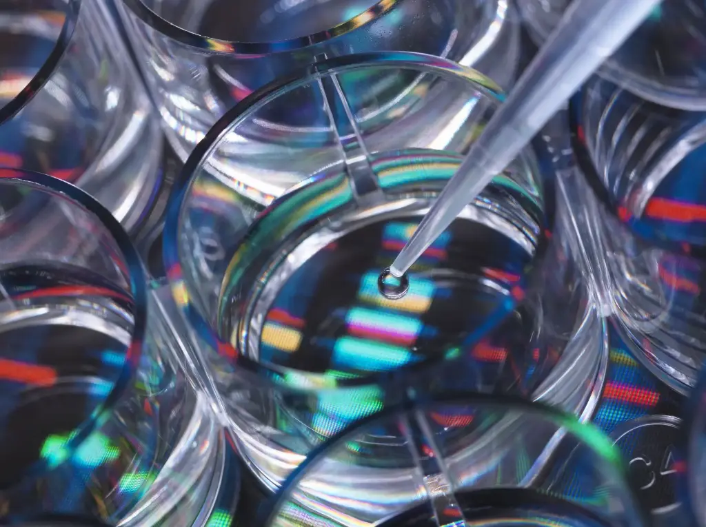 tips with a capacity of10 ul, low -edition, with filter, to pipette P2/P10